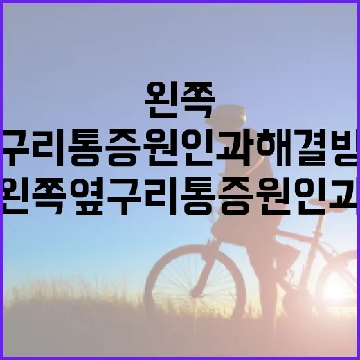 왼쪽 옆구리 통증 원인과 해결 방법 - 요약
