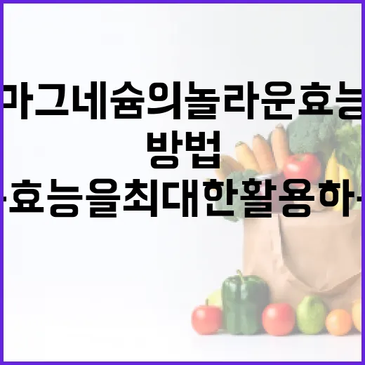 마그네슘의 놀라운 효능을 최대한 활용하는 방법 - 요약