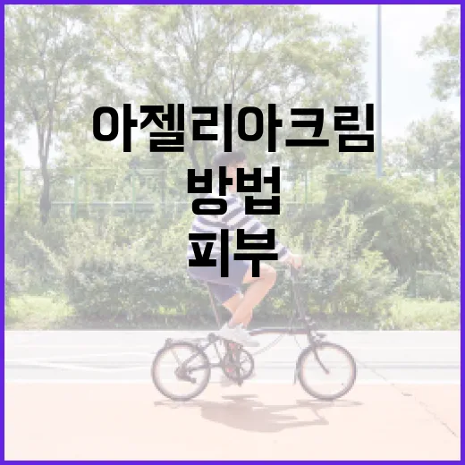 아젤리아크림으로 피부를 개선하는 방법 - 요약