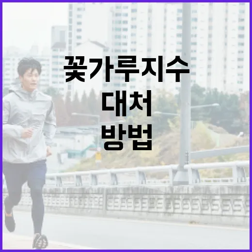 꽃가루지수를 이해하고 효과적으로 대처하는 방법 - 요약