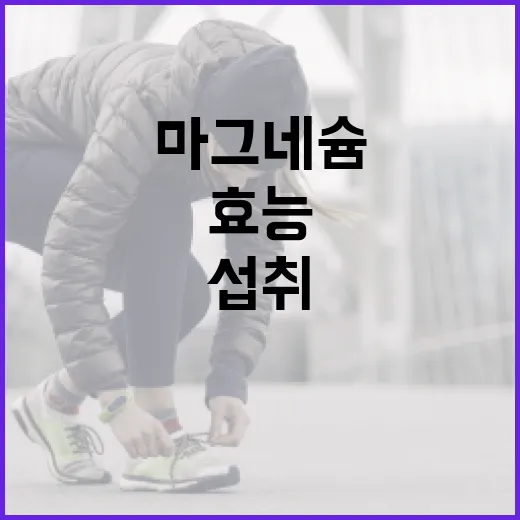 마그네슘의 효능과 섭취 방법 - 요약