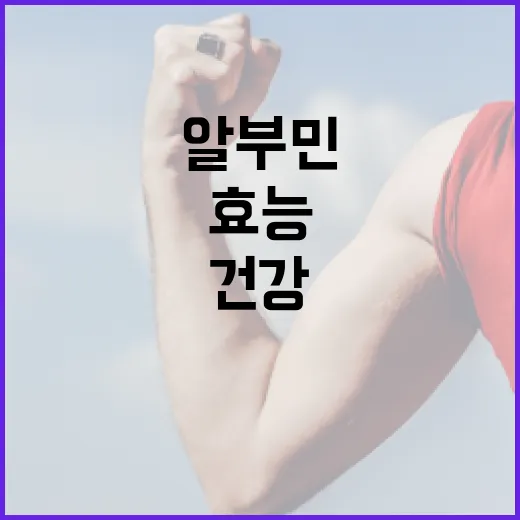 알부민의 효능과 활용 방법: 건강을 위한 필수 정보 - 요약