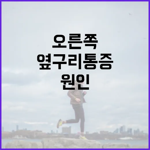 오른쪽 옆구리 통증의 원인과 완화 방법 - 요약