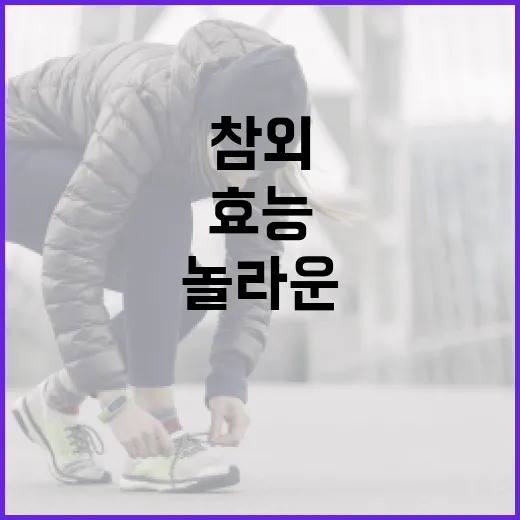 참외의 놀라운 효능과 활용 방법 - 요약