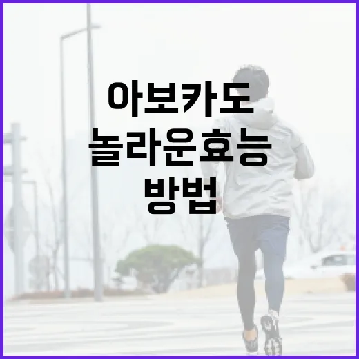 아보카도의 놀라운 효능을 이해하는 방법 - 요약