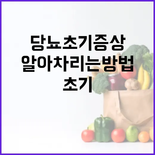 당뇨 초기증상을 알아차리는 방법 - 요약