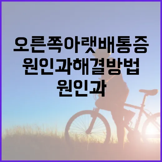 오른쪽 아랫배 통증: 원인과 해결 방법 - 요약