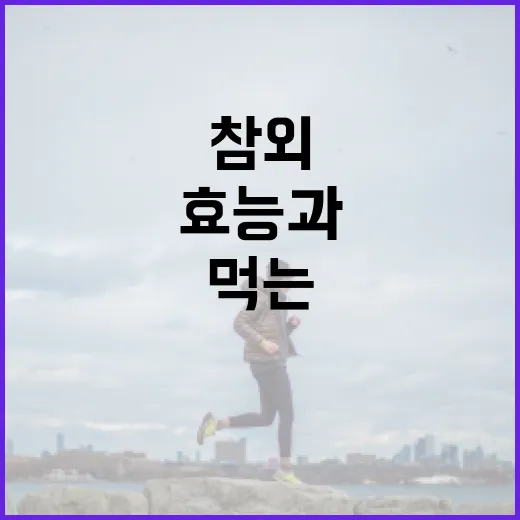 참외의 놀라운 효능과 건강하게 먹는 방법 - 요약