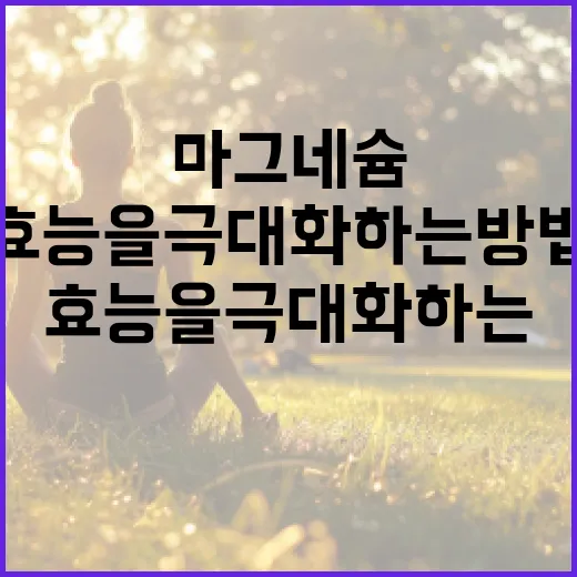 마그네슘 효능을 극대화하는 방법 - 요약