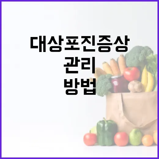 대상포진 증상을 이해하고 관리하는 방법 - 요약