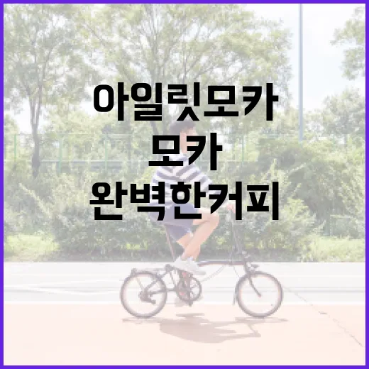 아일릿 모카로 완벽한 커피 만들기 방법 - 요약