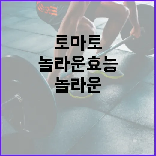 토마토의 놀라운 효능을 알아보는 방법 - 요약