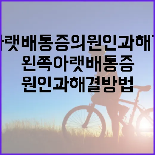 왼쪽 아랫배 통증의 원인과 해결 방법 - 요약