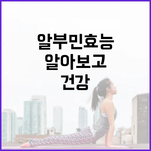 알부민 효능을 알아보고 건강하게 활용하는 방법 - 요약