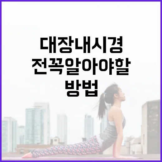 대장내시경 전 꼭 알아야 할 음식 섭취 방법 - 요약