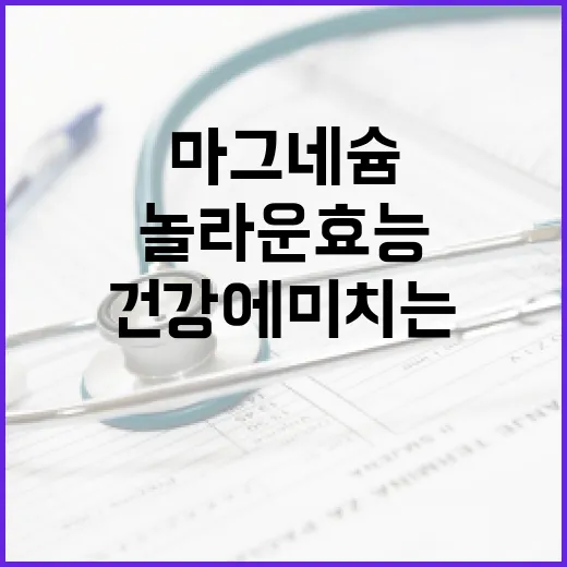 마그네슘을 활용하는 방법: 건강에 미치는 놀라운 효능 - 요약