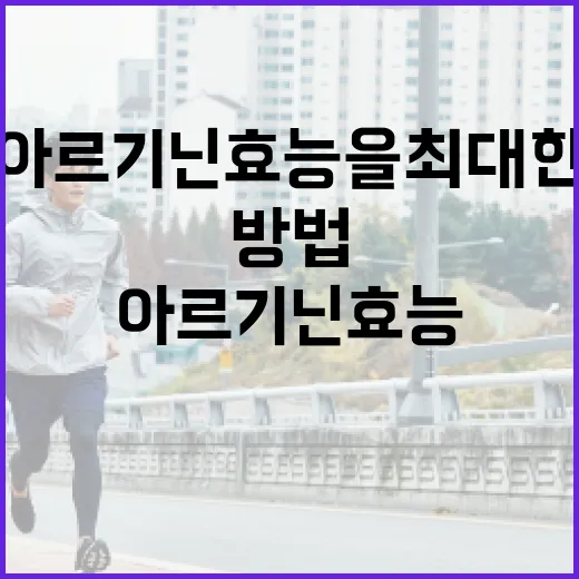 아르기닌 효능을 최대한 활용하는 방법 - 요약
