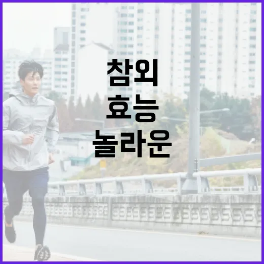 참외의 놀라운 효능을 아는 방법 - 요약