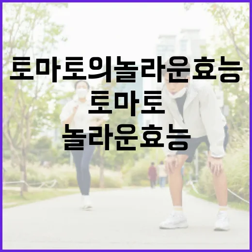 토마토의 놀라운 효능을 최대한 활용하는 방법 - 요약
