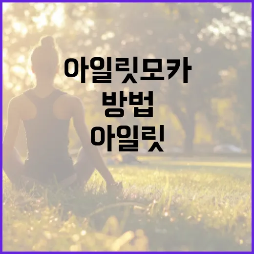 아일릿 모카를 완벽하게 즐기는 방법 - 요약
