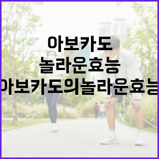 아보카도의 놀라운 효능 알아보기 - 요약