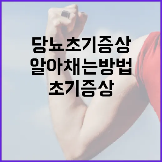 당뇨 초기증상을 알아채는 방법 - 요약