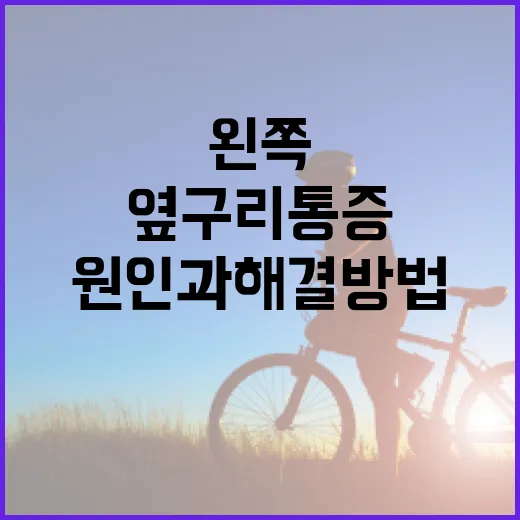 왼쪽 옆구리 통증의 원인과 해결 방법 - 요약