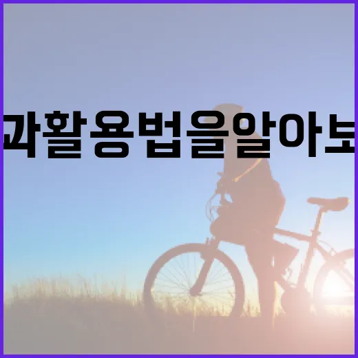 우베의 뜻과 활용법을 알아보자 - 요약