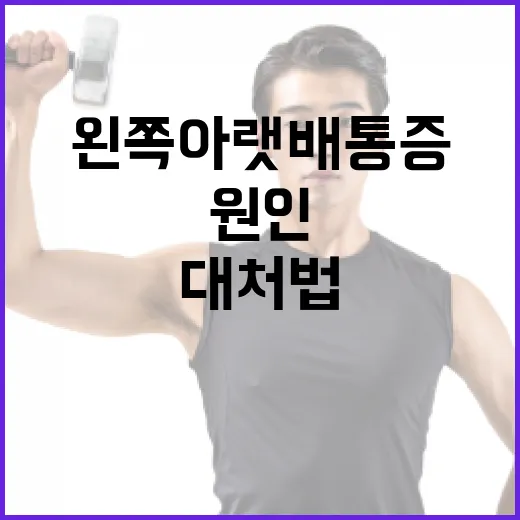 왼쪽 아랫배 통증 완화 방법: 원인부터 대처법까지 - 요약