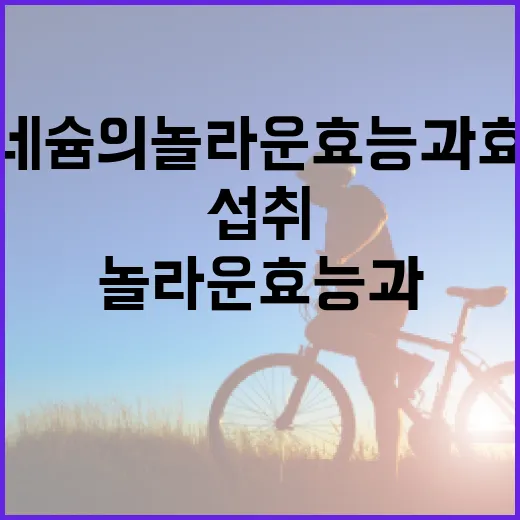 마그네슘의 놀라운 효능과 효과적으로 섭취하는 방법 - 요약