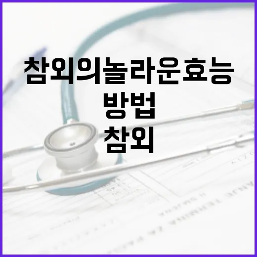 참외의 놀라운 효능을 아는 방법 - 요약