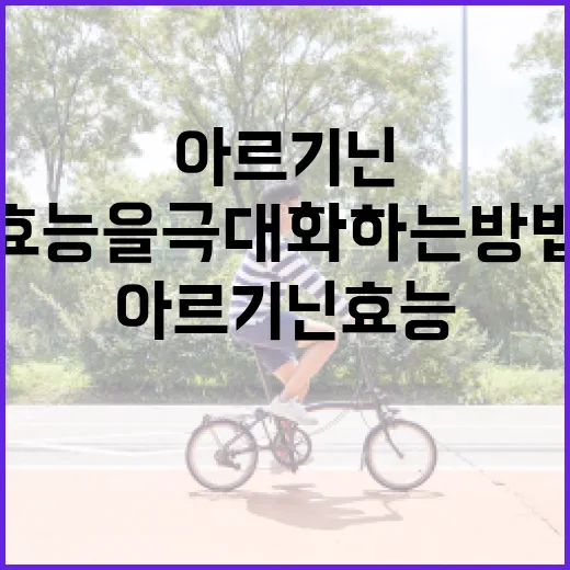 아르기닌 효능을 극대화하는 방법 - 요약