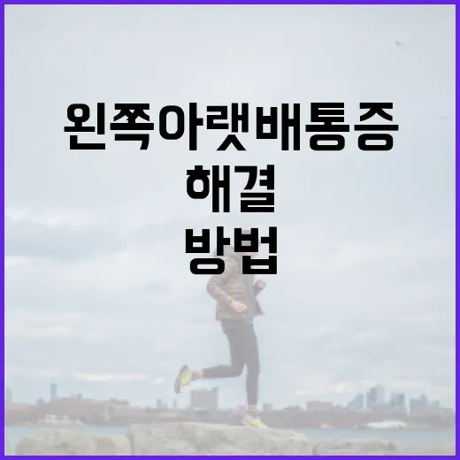 왼쪽 아랫배 통증을 해결하는 방법 - 요약
