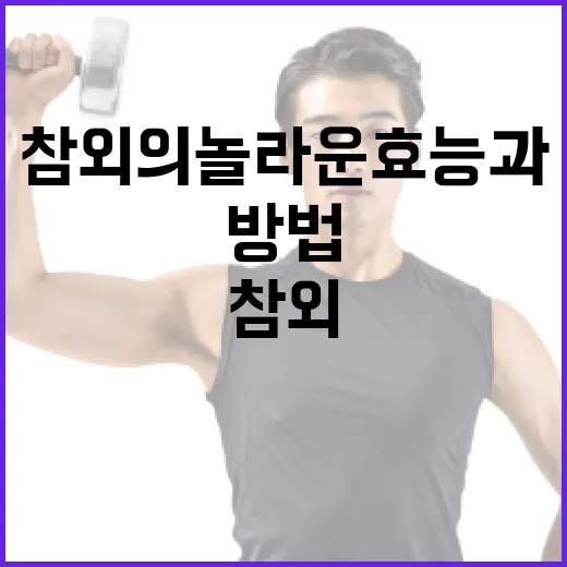 참외의 놀라운 효능과 활용 방법 - 요약