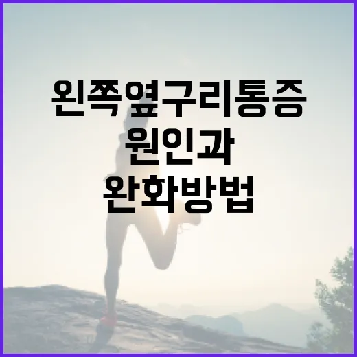 왼쪽 옆구리 통증의 원인과 완화 방법 - 요약