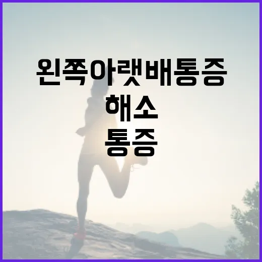 왼쪽 아랫배 통증을 해소하는 방법 - 요약