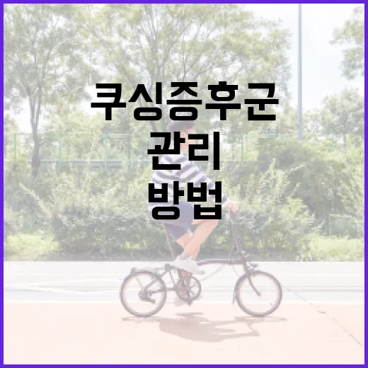 쿠싱증후군을 이해하고 관리하는 방법 - 요약