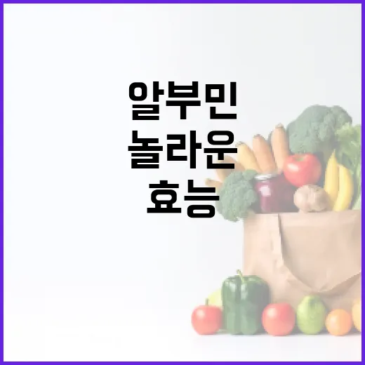알부민의 놀라운 효능을 알아보는 방법 - 요약