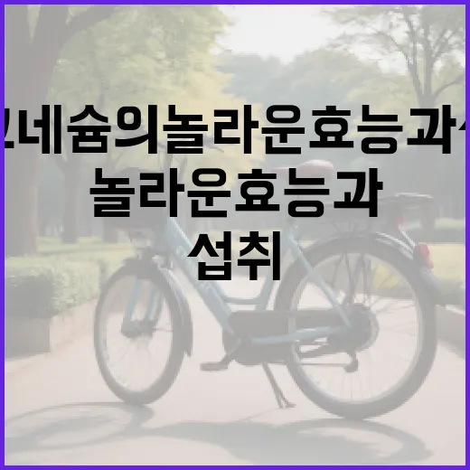 마그네슘의 놀라운 효능과 섭취 방법 - 요약