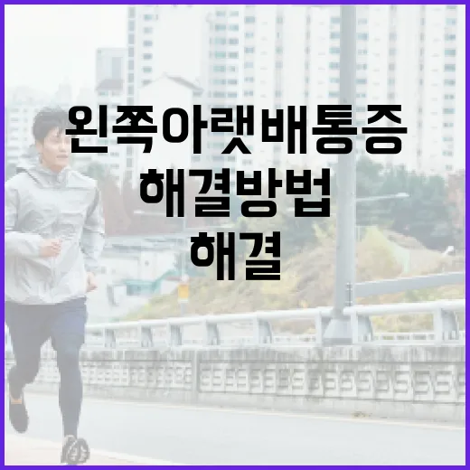 왼쪽 아랫배 통증 해결 방법 - 요약