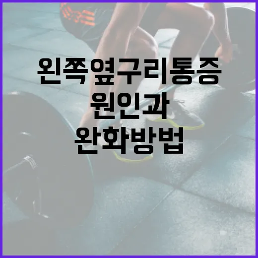 왼쪽 옆구리 통증의 원인과 완화 방법 - 요약