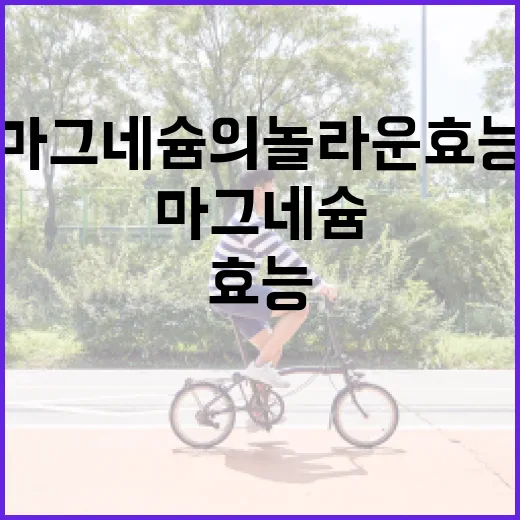 마그네슘의 놀라운 효능을 알아보는 방법 - 요약