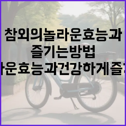 참외의 놀라운 효능과 건강하게 즐기는 방법 - 요약