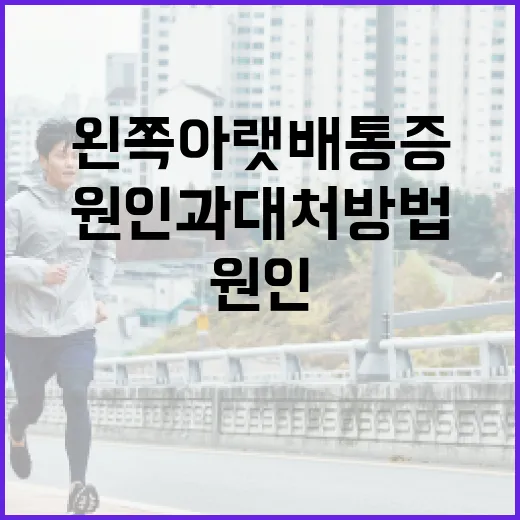 왼쪽 아랫배 통증의 원인과 대처 방법 - 요약