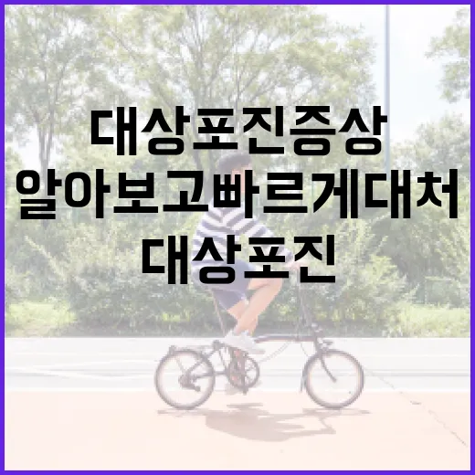 대상포진 증상을 알아보고 빠르게 대처하는 방법 - 요약