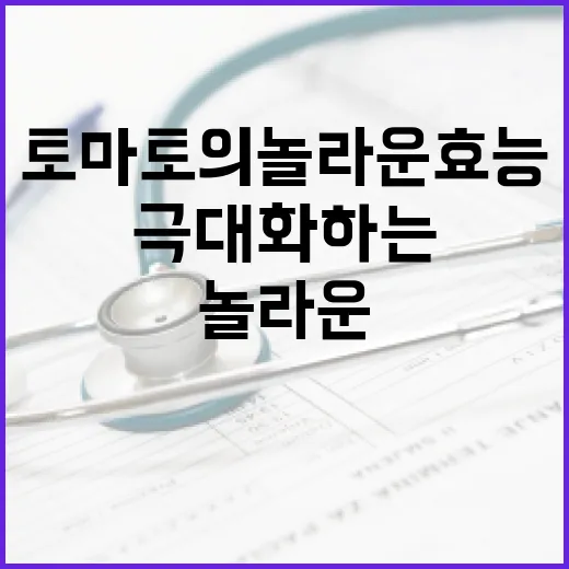 토마토의 놀라운 효능을 극대화하는 방법 - 요약