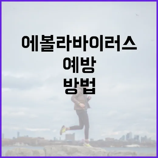 에볼라바이러스에 대해 알아보고 예방하는 방법 - 요약