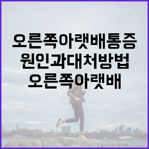 오른쪽 아랫배 통증의 원인과 대처 방법 - 요약