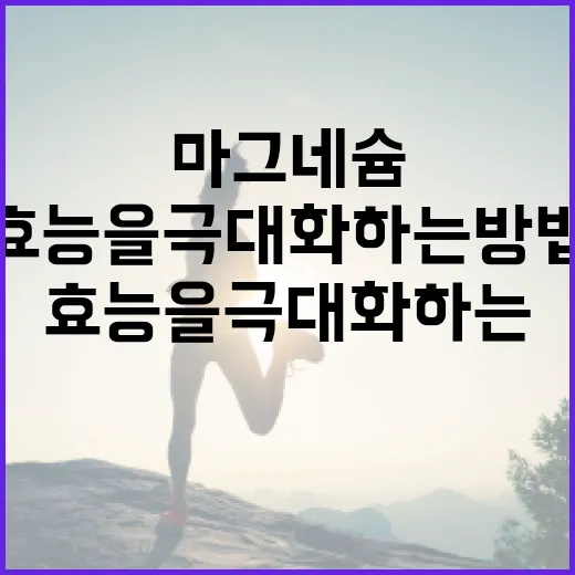 마그네슘 효능을 극대화하는 방법 - 요약