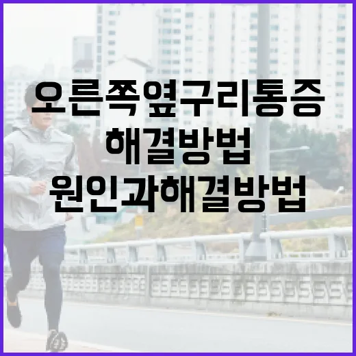 오른쪽 옆구리 통증의 원인과 해결 방법 - 요약